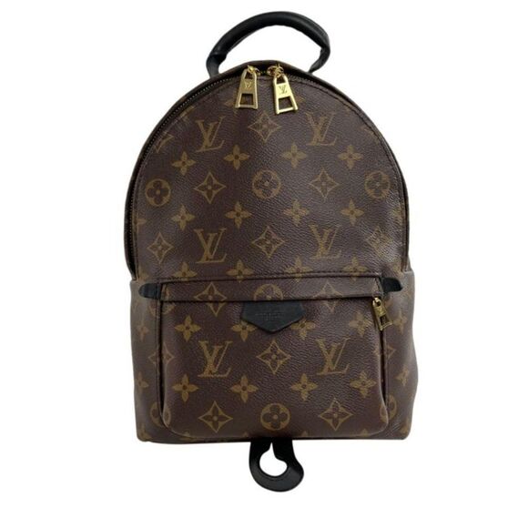 Louis Vuitton Monogram Palm Springs Backpack PM - Picture 2 of 13